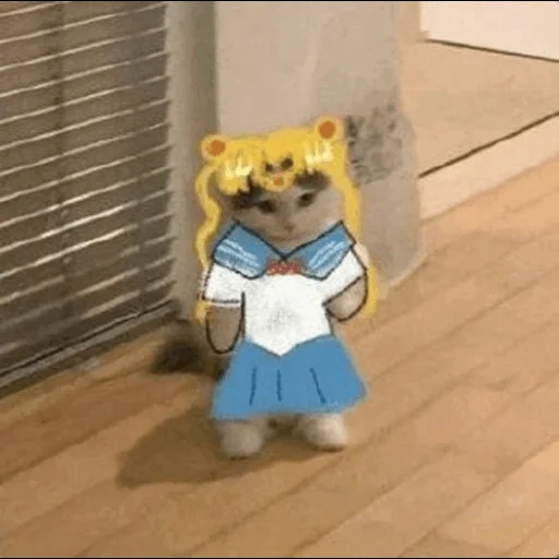 аниме, наруто техники, милый котик мем, sailor moon cat, вселенная наруто