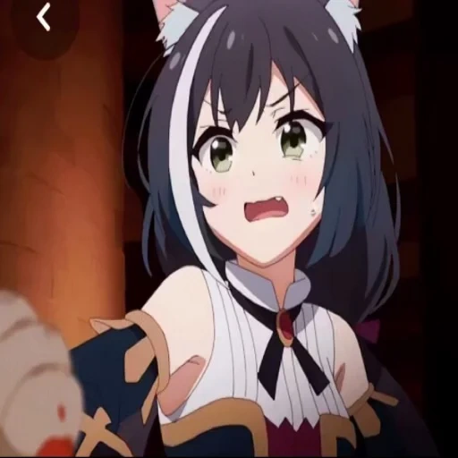 anime algunos, gato de anime, personajes de anime, anime de la chica gato, kiyar princess connect