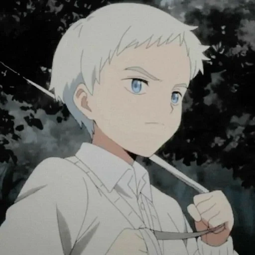 anime characters, promised neverland 2019, the promised non ruler anime, the promised neverland is norman, anime promised neverland norman
