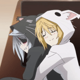anime, amino anime, anime characters, anime hugs, infinite stratos cat