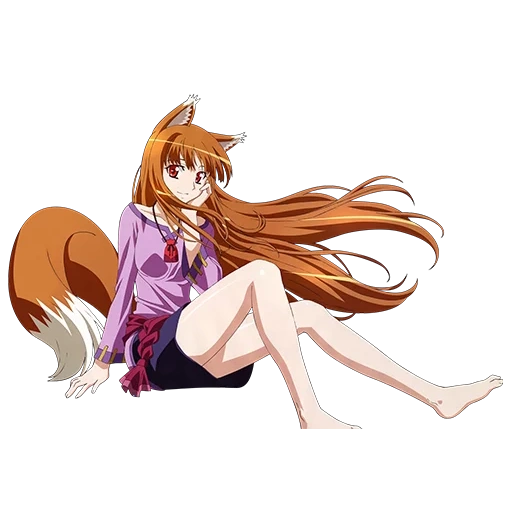 der gewürzwolf, spice wolf 18, anime wolf spice, wolf hollo in voller höhe, anime wolf spice hollow