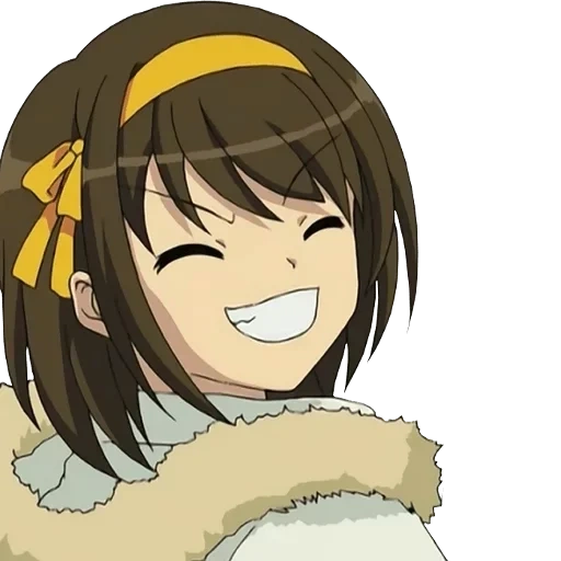 haruhi suzuki, frühling melancholie, haruhi suzuki, die melancholie von haruki suzuki, das verschwinden von haruhi suzuki