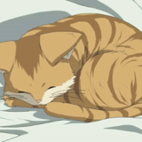 кот аниме, котики аниме, рыжий кот аниме, аниме коты гифки, коты воители спящие