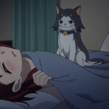 cats, anime, sleeping anime cat, bonne nuit anime, le chat d'animation doukyonin wa hiza
