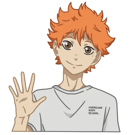 picture, haikyuu, shoyo hinata, hinata haikyuu, hinata shoyo tenddo