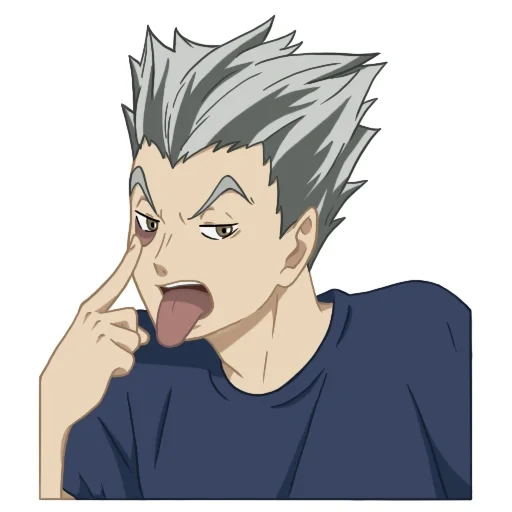 bokuto, bokuto cotaro, bocuto est ridicule, haikyu bokuto, personnages d'anime