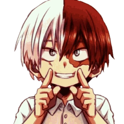 todoroki, rei todoroki, shoto todoroki, yoshino todoroki, todoroki shoto es pequeño