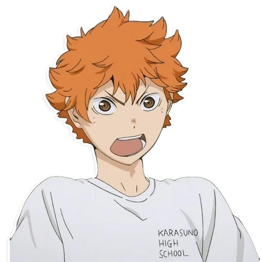 gambar, haikyuu, bola voli, shoyo hinata, hinata shoyo volleyball