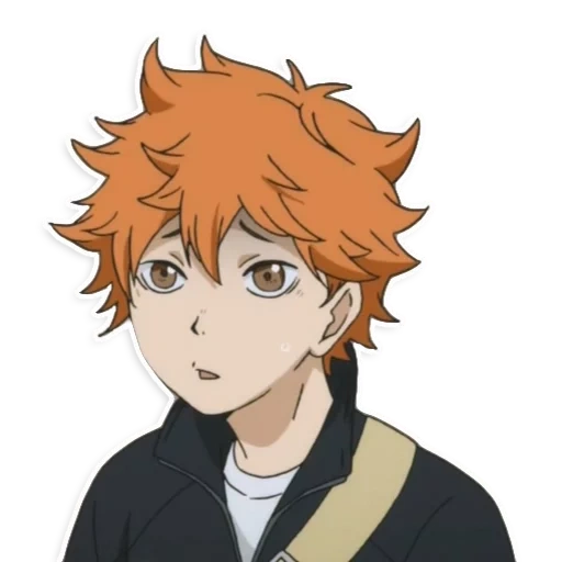 haikyuu, shinata shoye, shouyo hinata, hinata shouyou, hinata shoyo sas