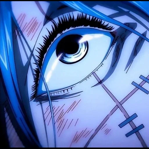 аниме, глаза аниме, anime эстетика, лёд wenaro lxner, магическая битва аниме глаза