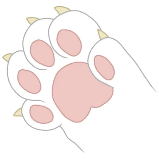 pavs reference, cat foot, feet print, cat's paws kawai, the imprint of the paw of the rabbit
