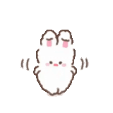 gatto, coniglietto, bunny bianco, bunny bunny, coniglio bianco