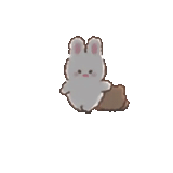 bunny, rabbit, dear rabbit, machiko rabbit, rabbit machiko
