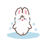 coniglietto, adorabile, bunny bunny, modello di coniglio, zuppa di coniglio bianca