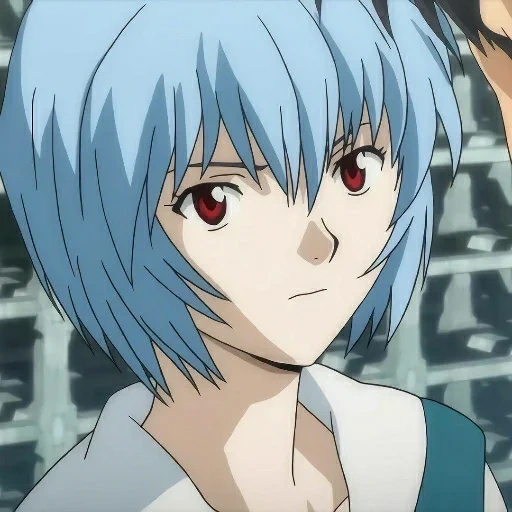 ayanami, рей аянами, z23 аянами, евангелион рей, евангелион манга