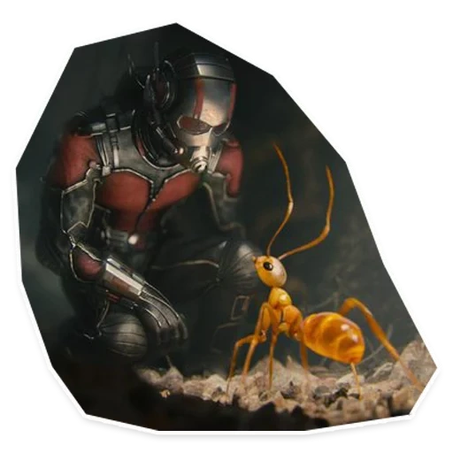 человек-муравей, человек-муравей оса, человек муравей 2015, марвел человек муравей, пол радд человек муравей