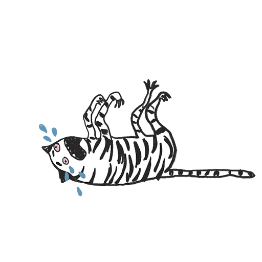 cat, tiger, miln tiger, white tiger, tiger illustration