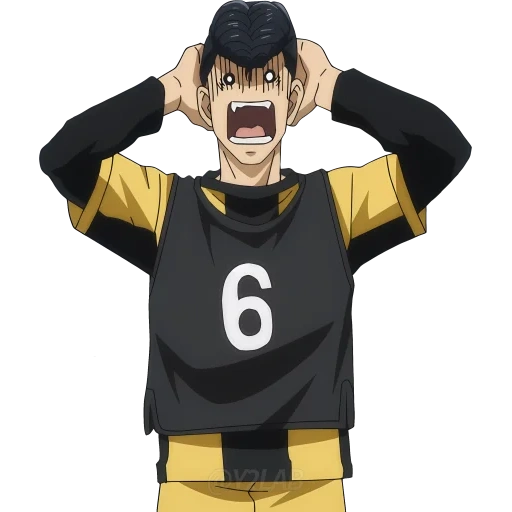 haikyuu, toshio kushan, pallavolo personaggio anime, volleyball all high di lushan, lu shandong xiong volleyball altezza completa