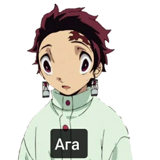 anime, tanjirou, topa anime, personnages d'anime