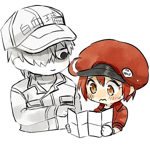 animação é fofa, hataraku saibou, padrão bonito anime, personagem de anime chibi, hattarakuseb chibi