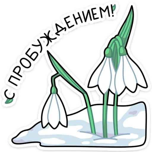 snowdrop, menggambar snowdrop, pola tetesan salju, menggambar snowdrop, lukisan pensil snowdrop