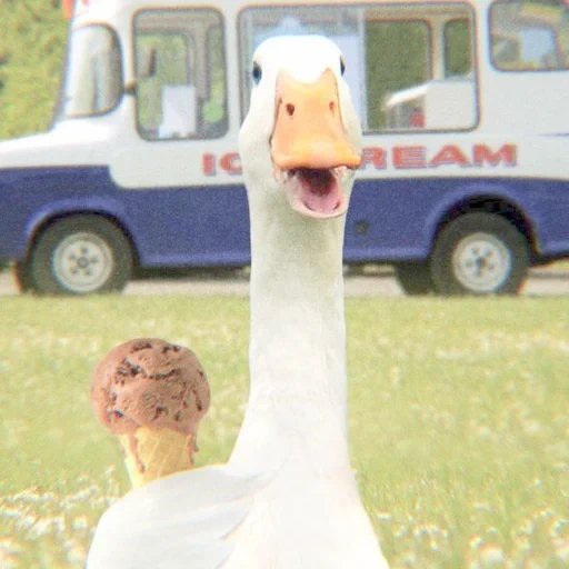 goose, joyful goose, goose with a meme, cool goose, the jokes of history are funny