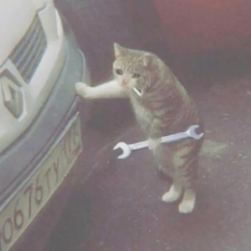 gatto, gatto, gatto, la chiave del gatto, il gatto con una chiave inglese