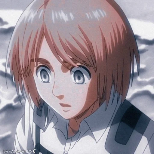 armin arlert, attaque des titans, l'attaque des titans armin, titan attack armin arlert, attaque de l'école secondaire armin