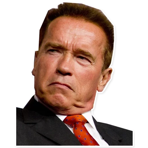 arnold schwarzenegger, arnold schwarzenegger conan, terminator arnold schwarzenegger, arnold schwarzenegger president of the united states