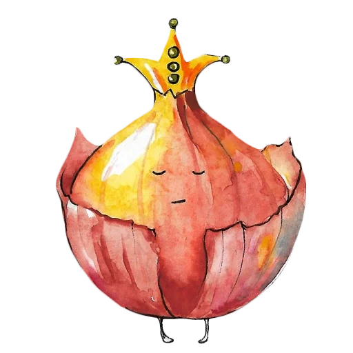 picture, the onion of the watercolor, grenade watercolor white background