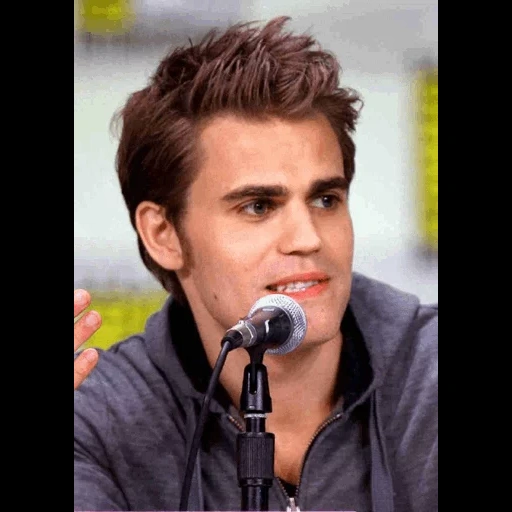 salvator, paul wesley, damon salvator, stefan salvatore, paul wesley tersenyum