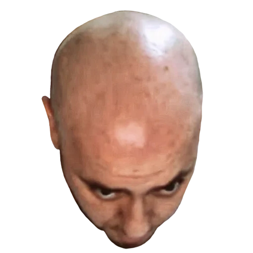 face, head, bald head, bald head, face