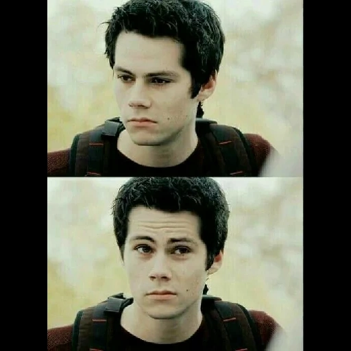 lupo, dylan o'brien, stiles wolf, serie wolf cubs stiles, dylan o'brien wolf