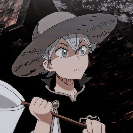 der schwarze klee, schwarzer klee mango, anime mit schwarzem kleeblatt, hashizaka selbst anime, asta black clover wiki