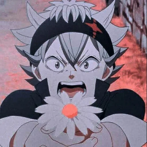 black clover, black clover, anime black clover, asta black clover, anime black four-leaf clover