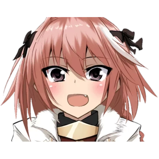 astolf, astolfo, astolfo tian, astorf anime