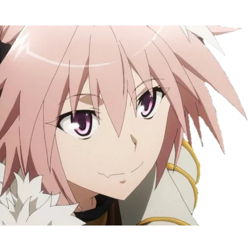 astolfo, meme di astolfo, anime di astover, astolfo ryder, destino degli apocrifi di astolfo