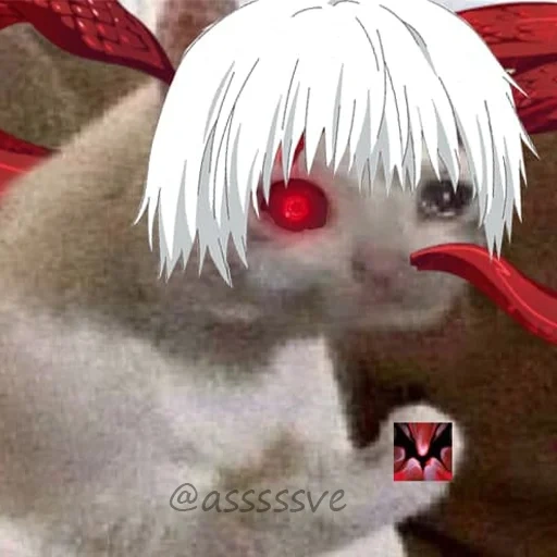 webp, cacing, kaneki, manusia, kucing yang cantik kakek di dalamnya