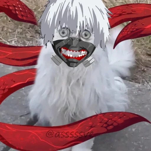 anime, kaneki, raja arthur, ghoul nyata, saya adalah hantu nyata