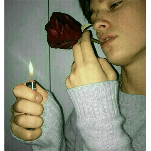 sokhra, top sokhra, admirador, agustín reich, el chico es una rosa de cigarrillo