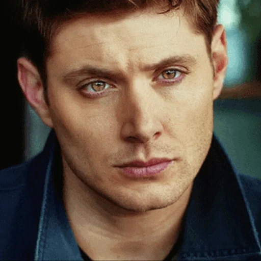 jensen eccles, dean winchester, supernatural ding shi, the supernatural dean winchester, you have the right to remain silent