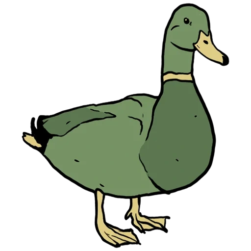 duck, duck duck, duck duck, the drake is duck, spleen duck duckling card