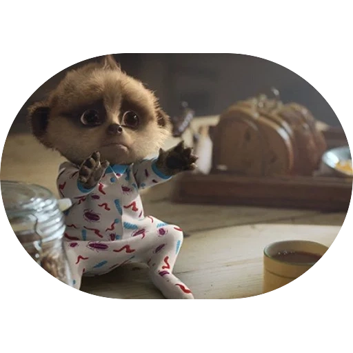 correspondence, web dialogs, pulls the pens, asks the pens, compare the meerkat