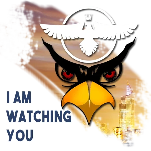 eule, logo, böser vogelzeichnung, der kopf des owl logos, adler mit einem weißen hintergrundvektor