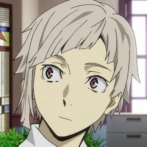 atsushi nakajima, der streunende hund, asuhi nakajima, atsushi nakajima anime, anime streunender hund atsushi