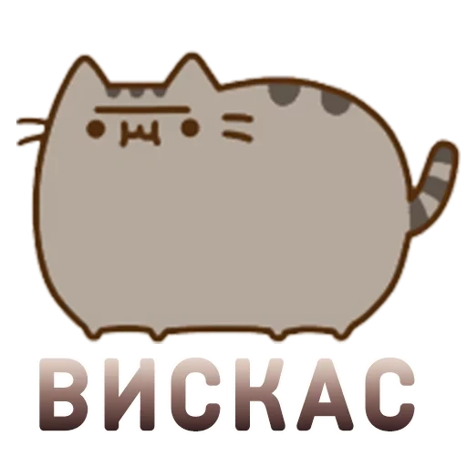 pushin cat, pushen cat, aurapusheen, kitty pushin, pushen cat