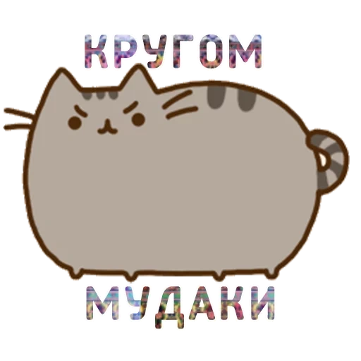 tekan kedalam, pushin kucing, pusheen cat, kitty pushin, pusheen cat marah