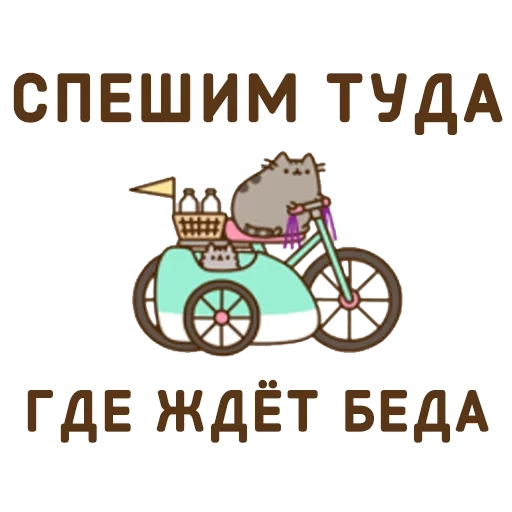 trouble, pussin cat, riding a bicycle, cat pushen movement