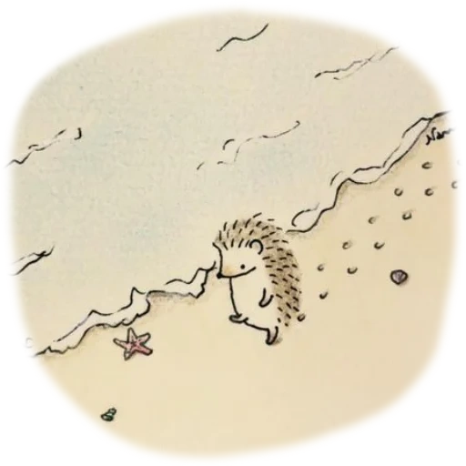 querido erizo, dibujo de erizo, pequeño erizo, ilustración de hedgehog, hedgehogs de namiharinezumi