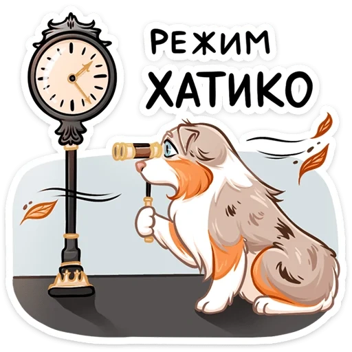 котики, собака часами